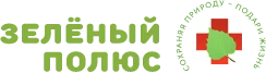 Зеленый полюс